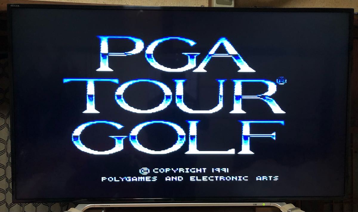 スーパーファミコン PGA TOUR GOLF ツアーゴルフ 中古 動作確認済み 送料無料!!拍卖
