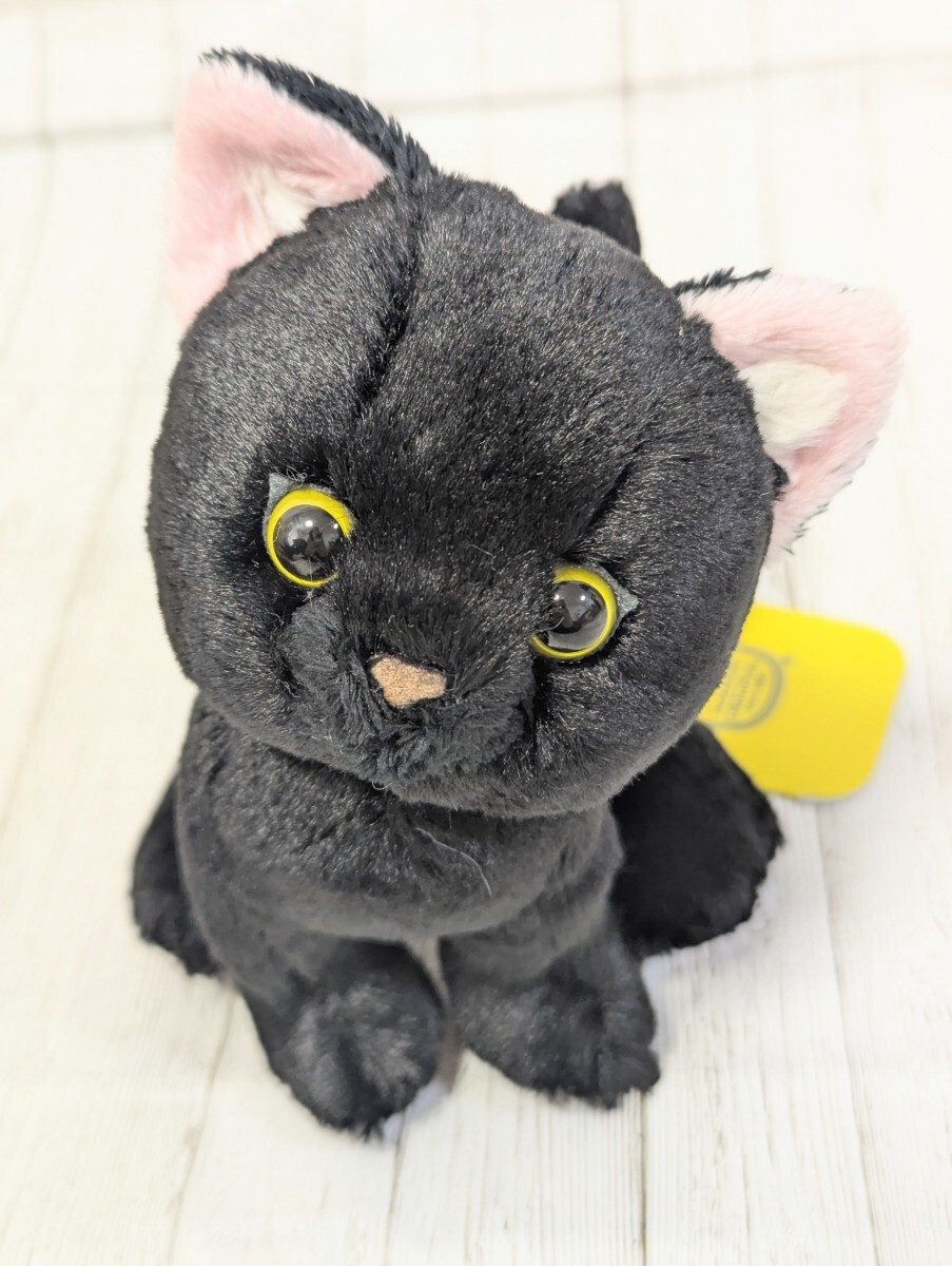 クロネコ キトン ぬいぐるみ P-7551 サンレモン くろねこ 黒猫 かわいい拍卖