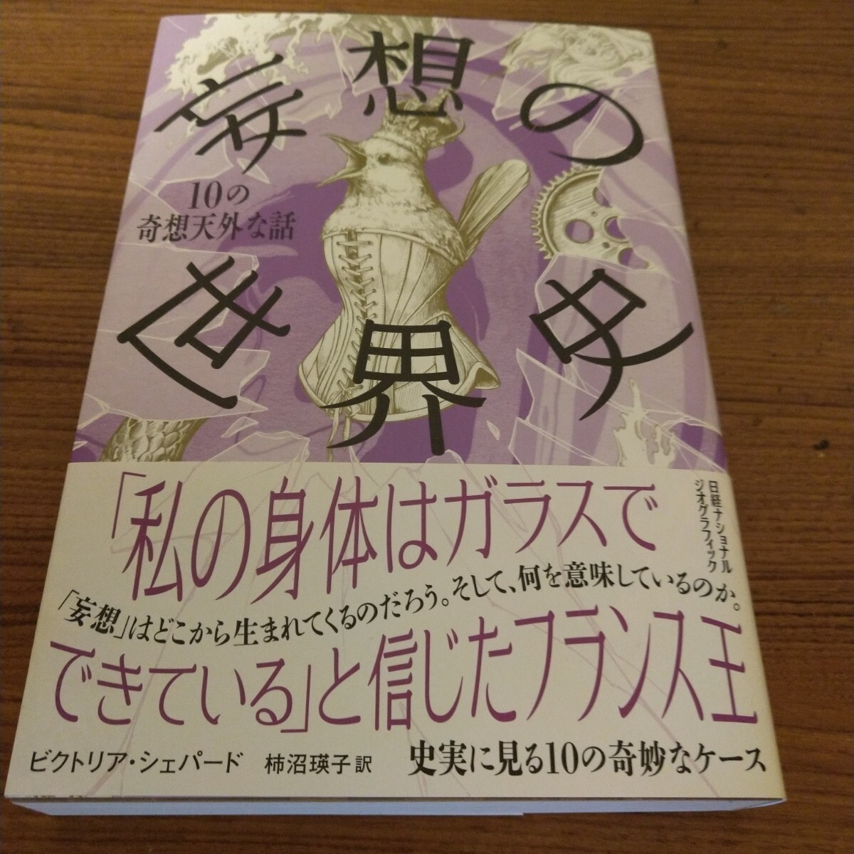 『妄想の世界史 10の奇想天外な話』 ビクトリア・シェパード (著)拍卖