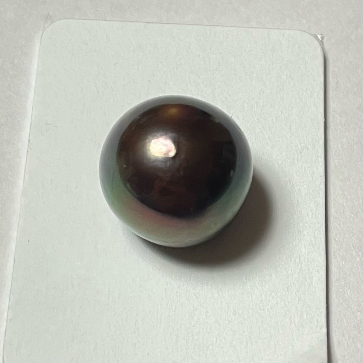 南洋黒真珠 ルース拍卖