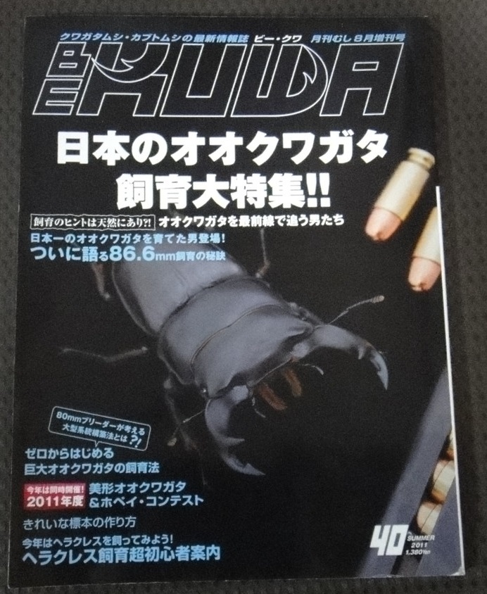☆ ビークワ BE KUWA No.40 日本のオオクワガタ飼育大特集☆拍卖
