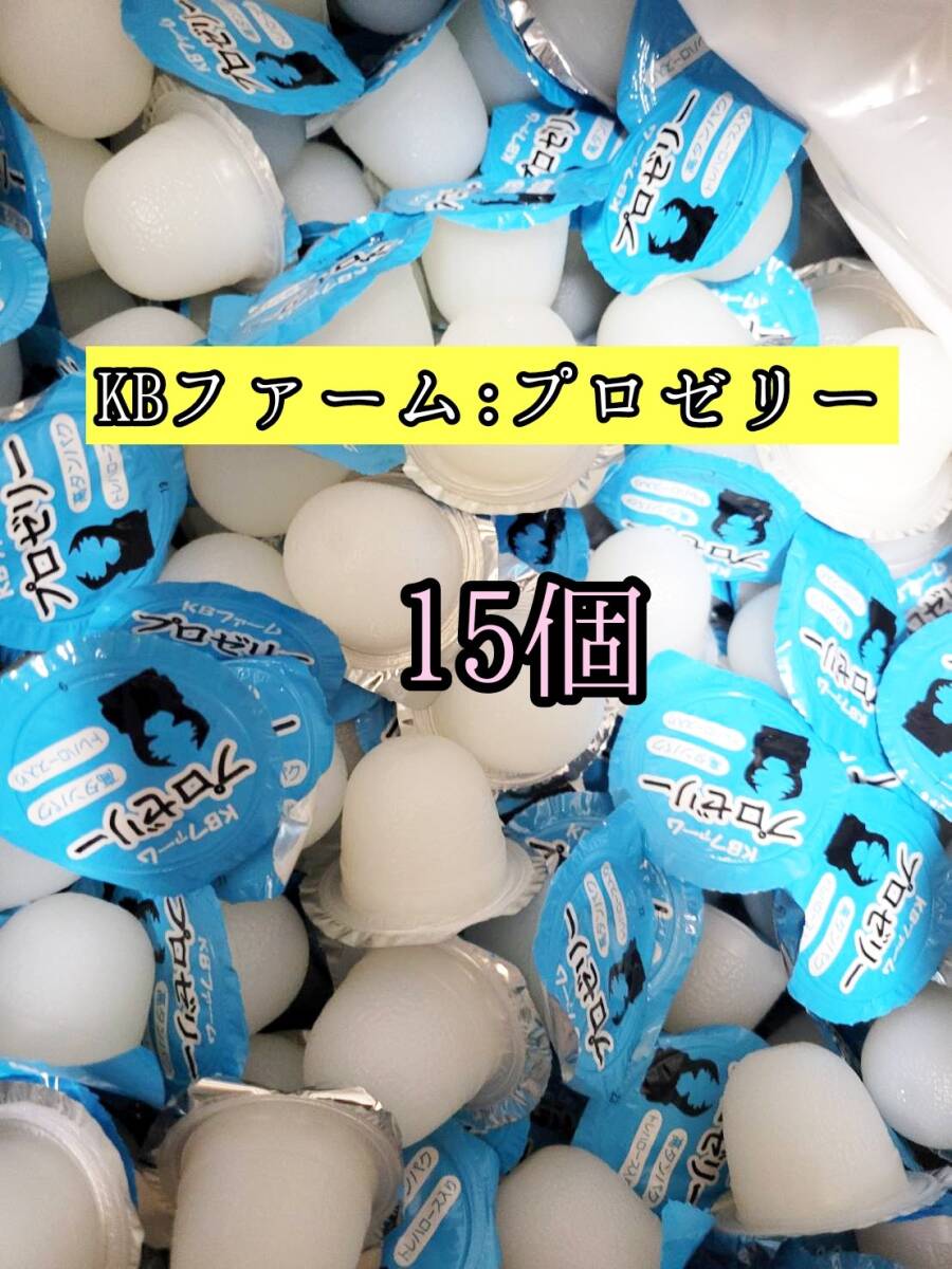 人気昆虫ゼリー KBファーム製昆虫ゼリー プロゼリー16g 15個カブトムシ クワガタ 小動物 モモンガ ハムスター ハリネズミ等拍卖