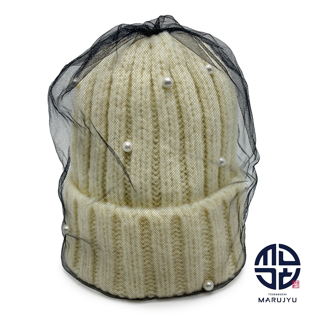 CA4LA カシラ ANYTHING P6 チュールニット 白 ホワイト ブラック 黒チュール パール KTZ02582 ニット帽 帽子 アパレル 小物 レディース拍卖