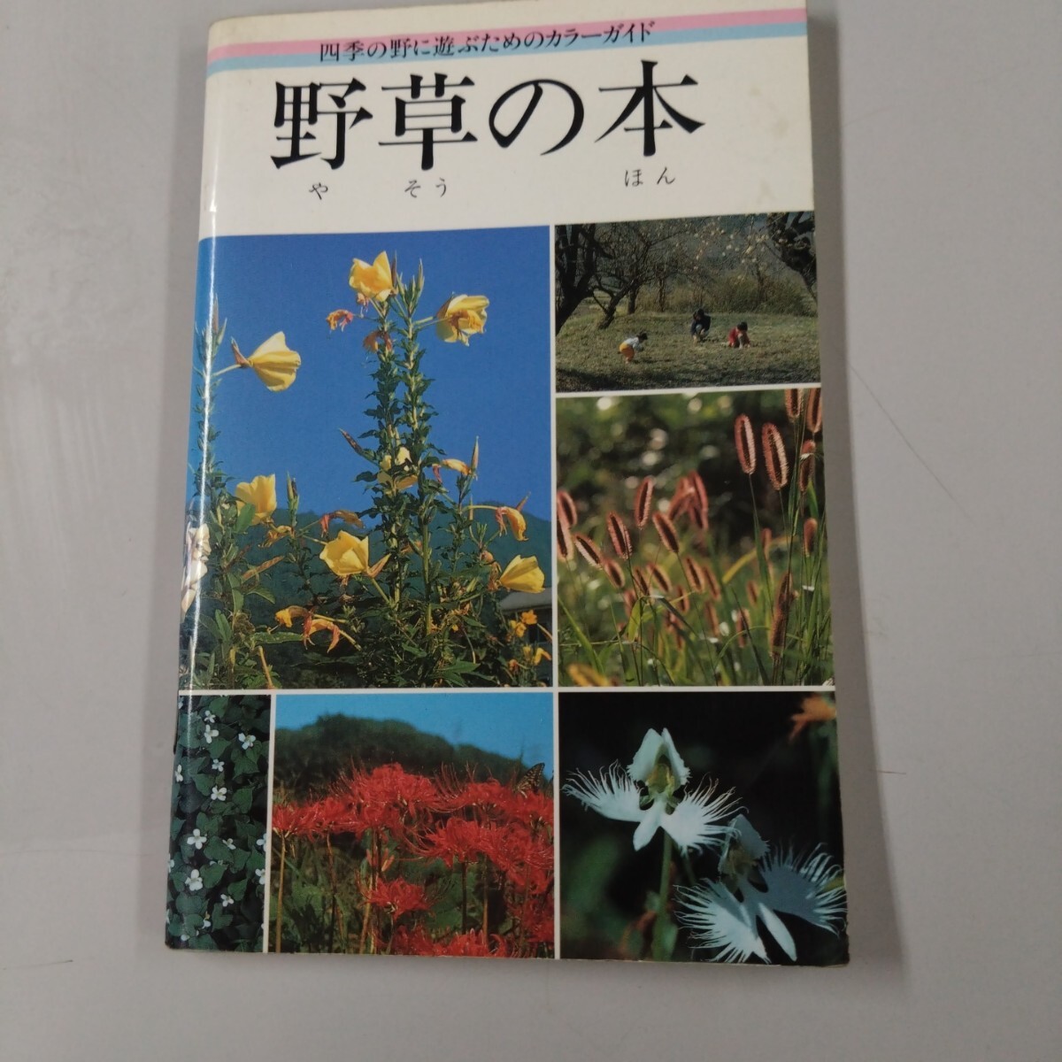 【初版】 四季の野に遊ぶためのカラーガイド 野草の本 アボック社出版局 1987年拍卖