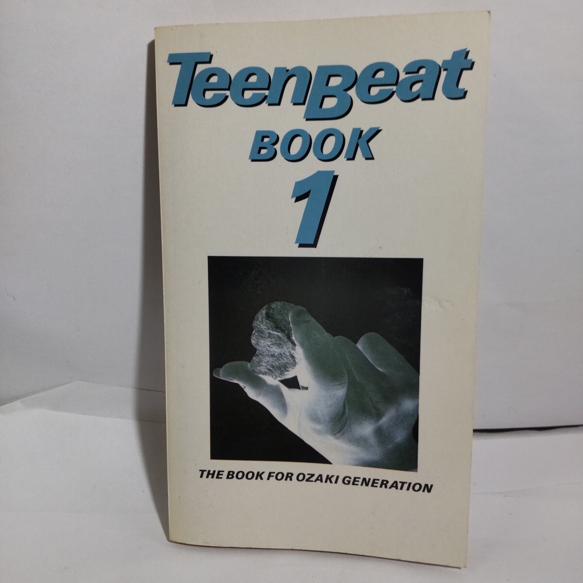 尾崎豊【TeenBeat BOOK 1】非売品本拍卖