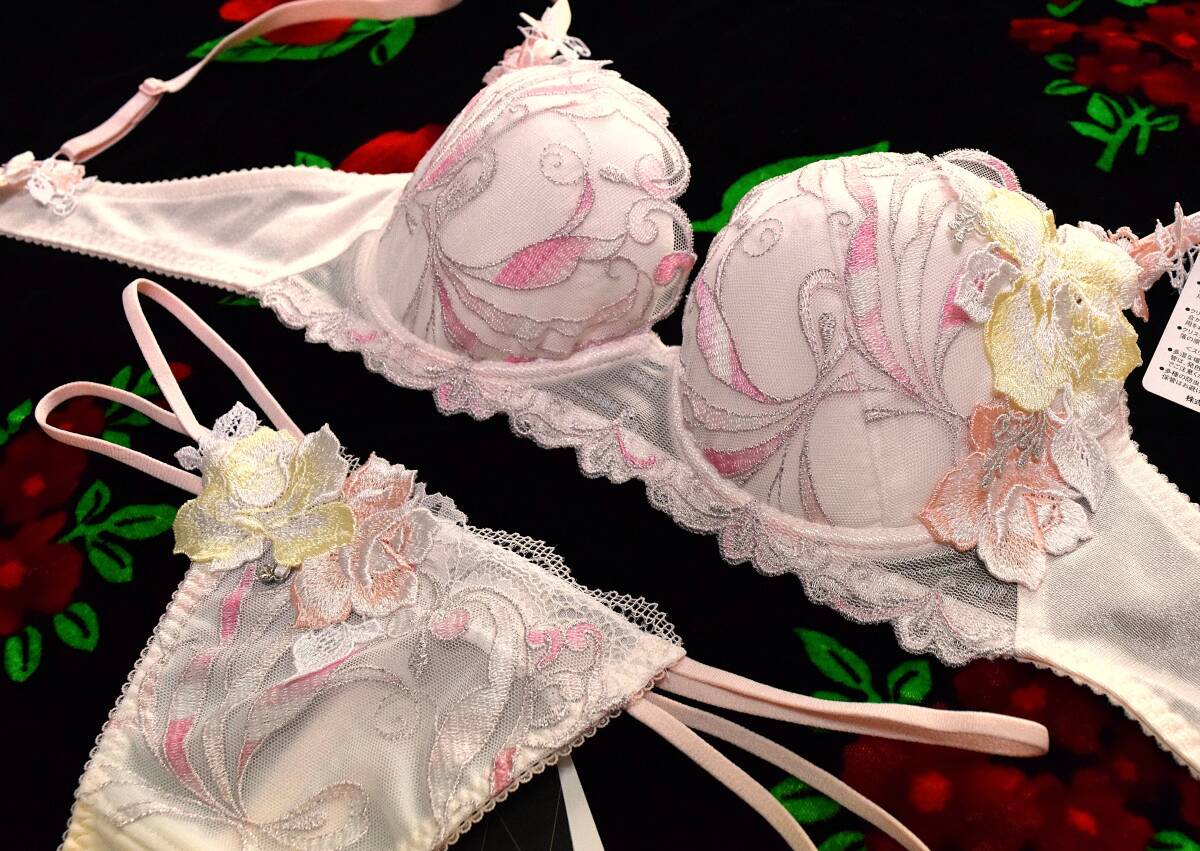 新品・タグ付き☆ワコール☆サルート☆66G・リオのカーニバル☆OC☆D75&ソングL拍卖