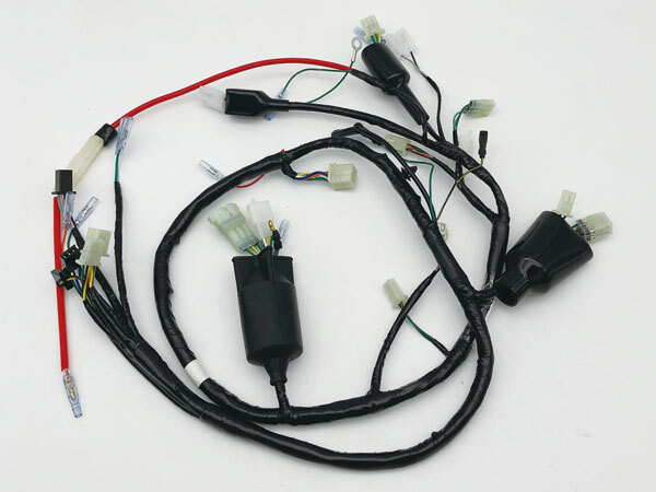 CFポッシュ C.F.POSH NSR50(93/94)用 32100-GT4-690 メインハーネス 610400拍卖