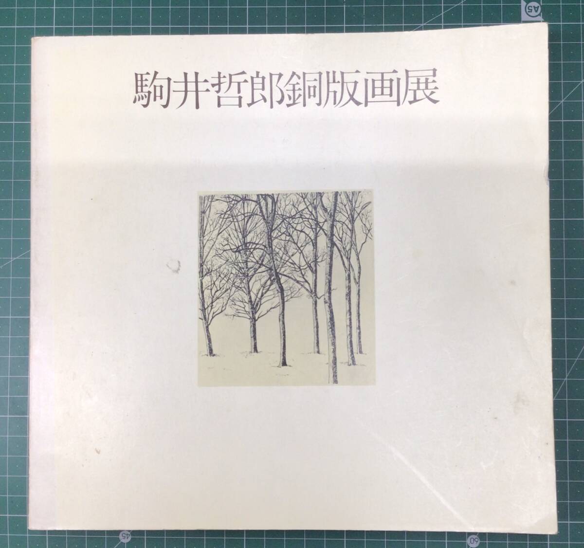 駒井哲郎 銅版画展 図録 東京都美術館 特別展図録第7号 1980年 図録 カタログ 画集●H4609拍卖