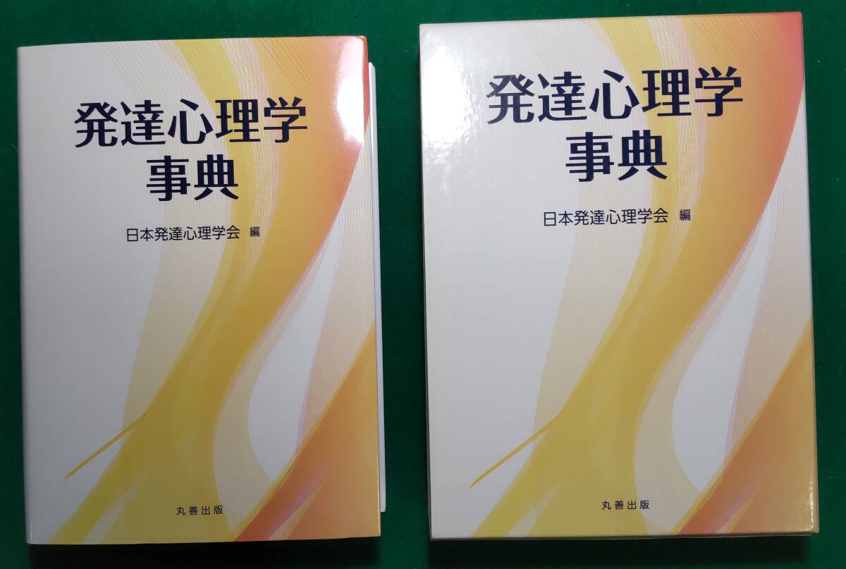 【希少】発達心理学事典 日本発達心理学会 編 丸善 平成25年 5月 専門書/宗教/摂食障害/カウンセリング/自閉症/心理学資格/ジェンダー/根拍卖