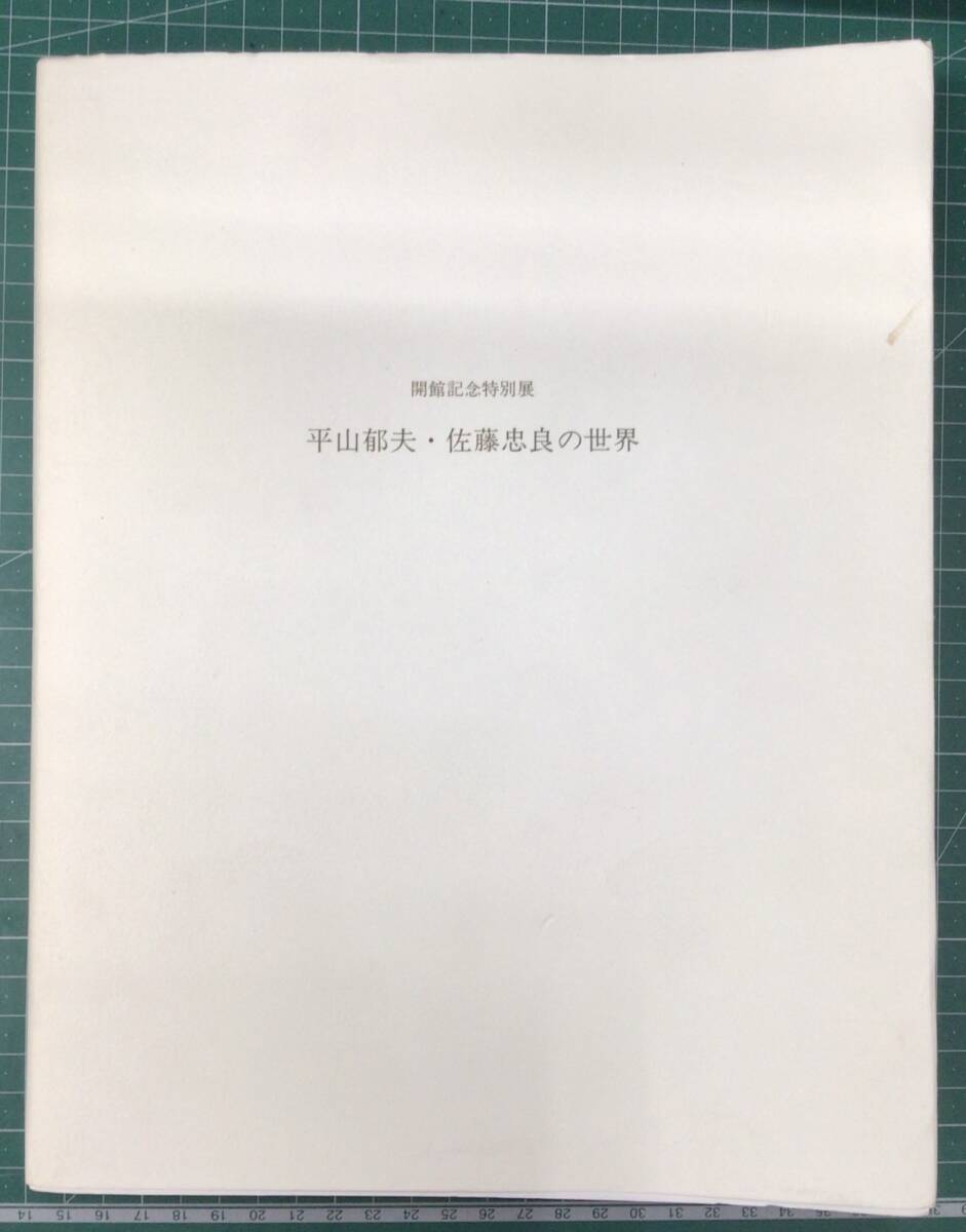 平山郁夫・佐藤忠良の世界 佐川美術館 開館記念特別展 1988年 図録 画集 作品集 梅原猛 富山秀男 本間正義●H4609拍卖