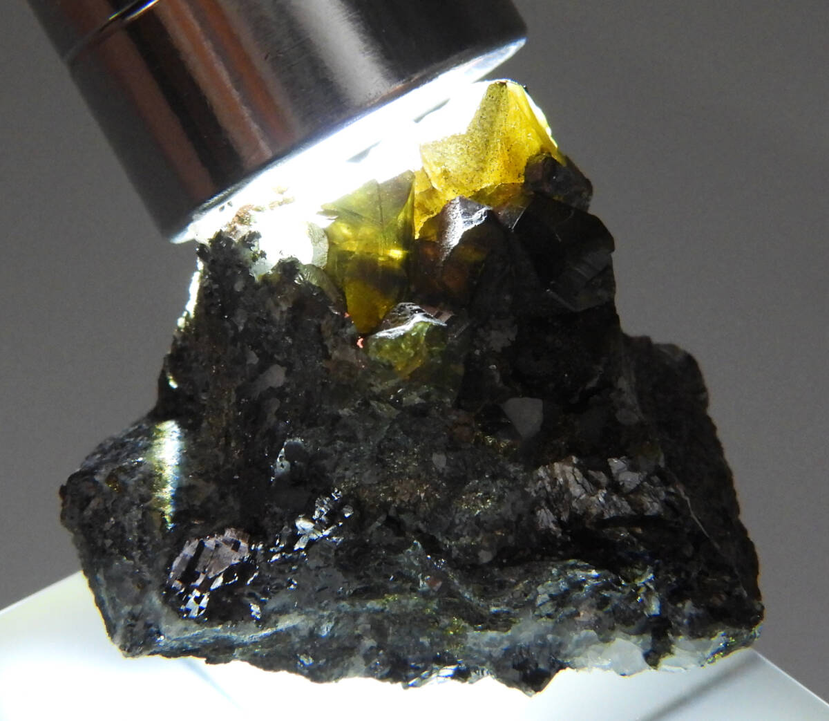 ☆☆ クライオフェン <ブルガリア> 41 ☆☆拍卖