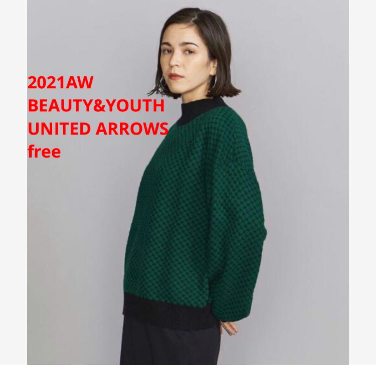 2回着用★ BEAUTY&YOUTH レトロジャカードハイネックニット拍卖