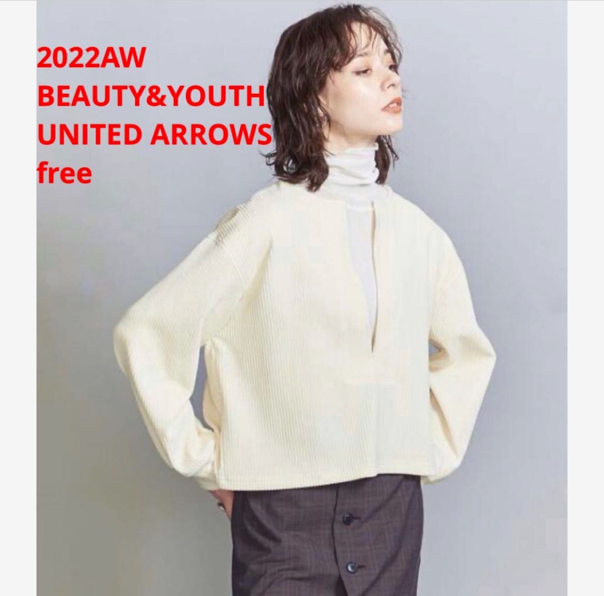未使用*BEAUTY&YOUTH UNITED ARROWS リブプルオーバー拍卖
