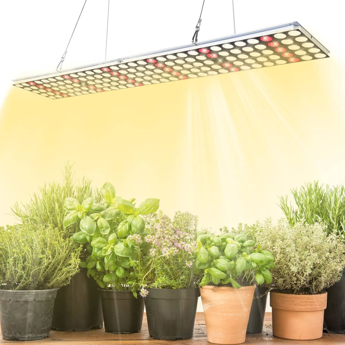 【新品】JCBritw 植物育成ライトLED フルスペクトル 150LED調光 屋内植物用 多肉植物育成 観葉植物 水耕栽培用ライト 野菜工場 家庭菜園拍卖
