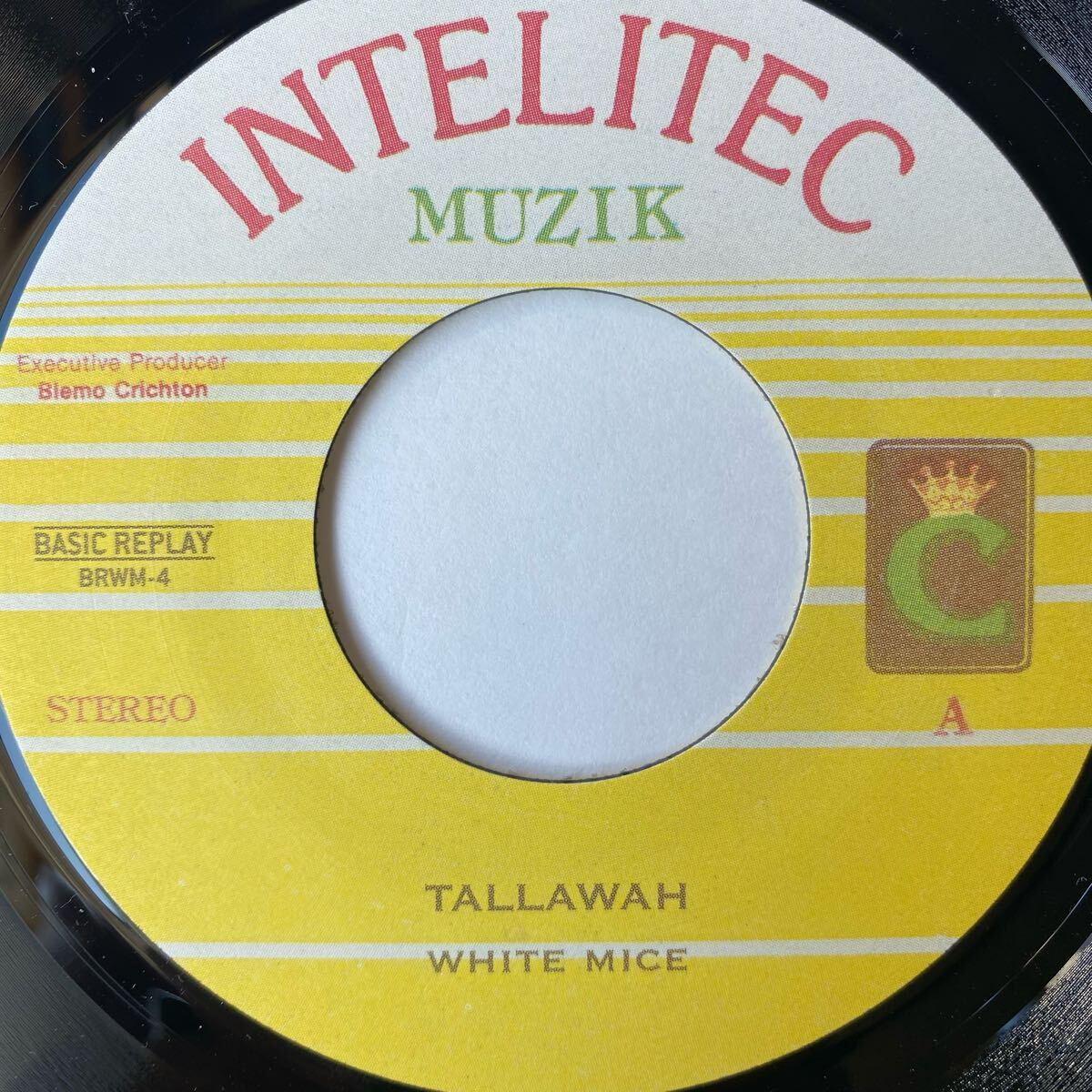 WHITE MICE Tallawah Basic Replay拍卖