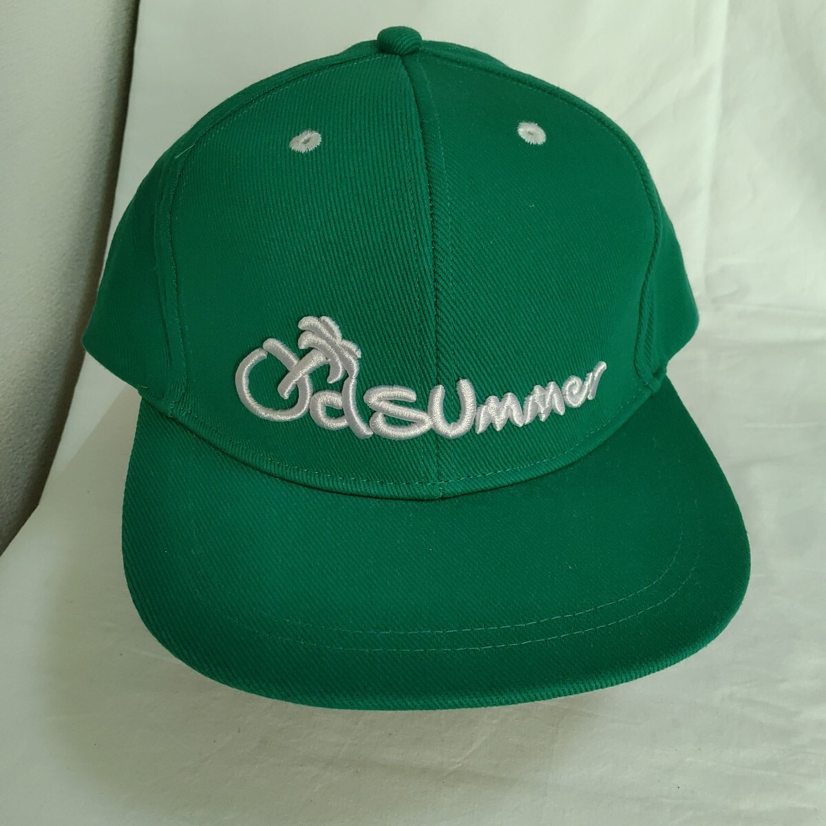 【美品】OLD SUMMER オールドサマー ロゴ キャップ 緑 グリーン サーフ カジュアル 帽子 0226-F5-TA20 拍卖