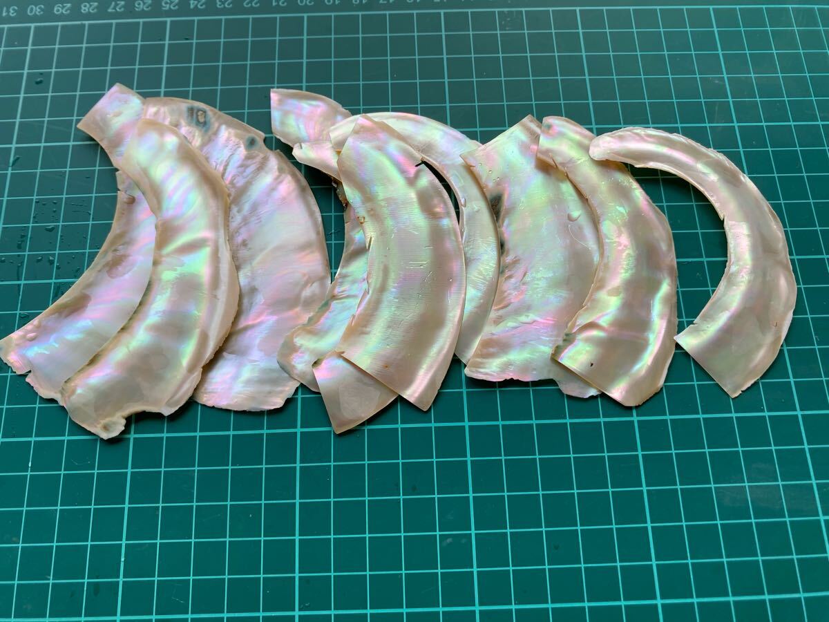 夜光貝 10枚セット 螺鈿細工 ハンドメイド 素材 数量限定 拍卖