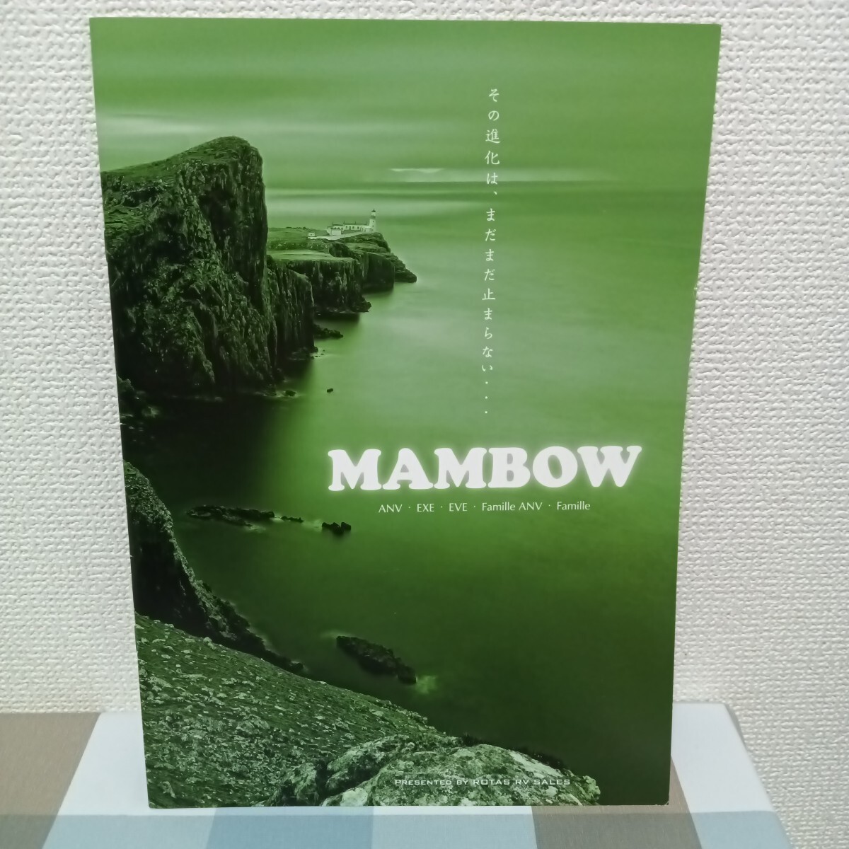 キャンピングカー ロータスRV MAMBOW マンボウ リーフレットカタログ 2019年2月 価格表付き 拍卖