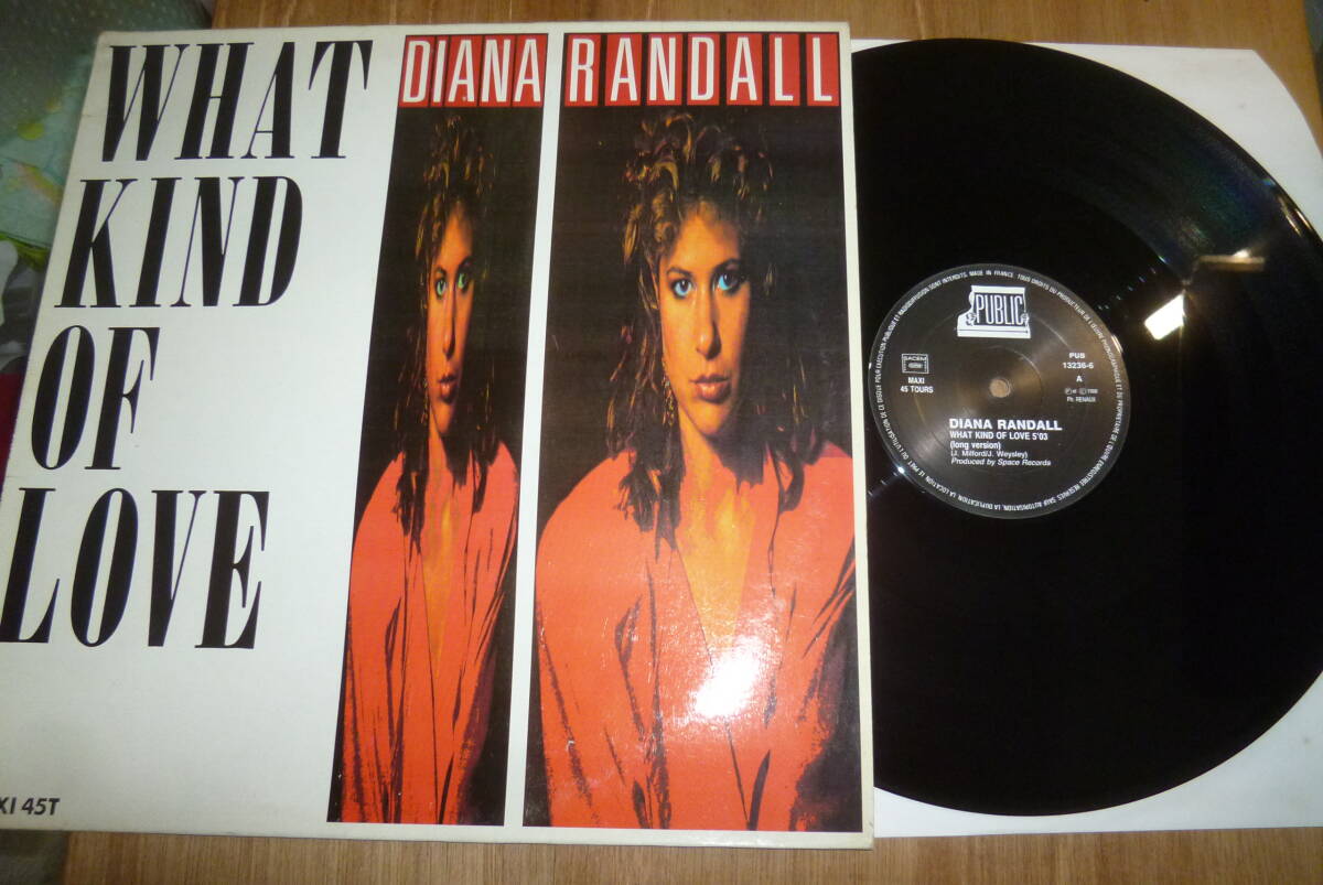 ノリノリユーロ系 )) 12” DIANA RANDALL // WHAT KIND OF LOVE 拍卖