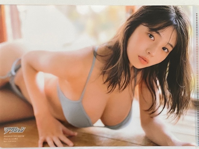 ◆即決◆ 菊地姫奈 両面クリアファイル ⑥拍卖