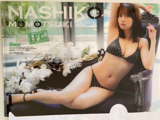 ◆即決◆ 桃月なしこ クリアファイル 11拍卖