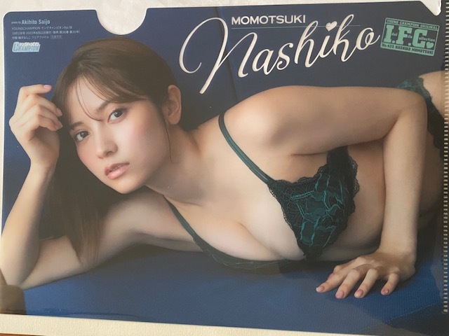 ◆即決◆ 桃月なしこ クリアファイル 13拍卖