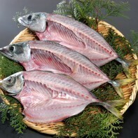 愛媛 佐田岬 アジの開き 100~150g×2枚 冷凍 送料無料 浜から直送 無添加・無着色 宇和海の幸問屋拍卖