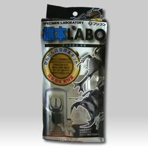 【送料無料】【フジコン】標本LABO拍卖