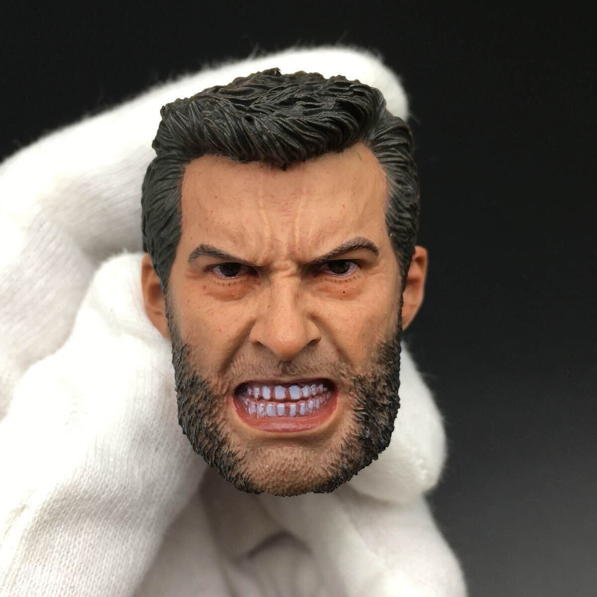 B50 1/6 塗装済みヘッド フィギュア ヘッド HOTTOYS 男性素体対応 B50拍卖