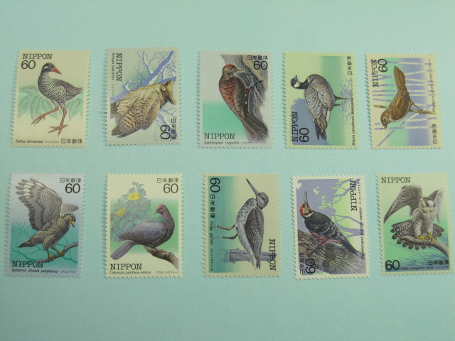 特殊鳥類シリーズ 10種完拍卖