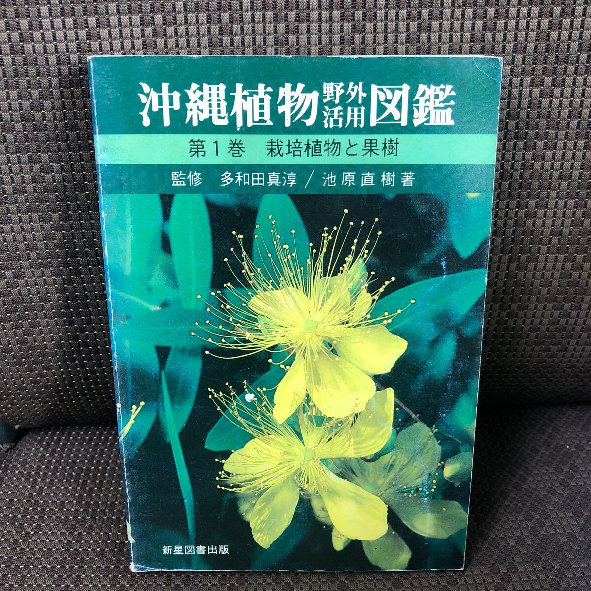 YK-5915 ※難あり 沖縄植物野外活用図鑑 第1巻 栽培植物と果樹ー《池原直樹》新星図書出版 琉球拍卖