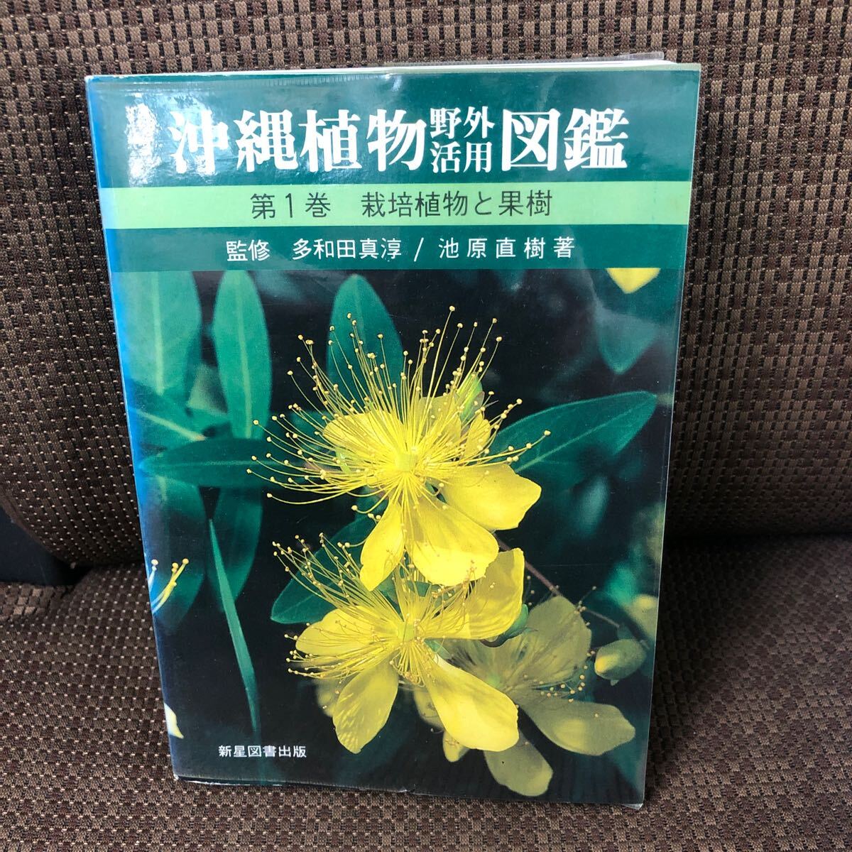 YK-5916 ※難あり 沖縄植物野外活用図鑑 第1巻 栽培植物と果樹ー《池原直樹》新星図書出版 琉球拍卖