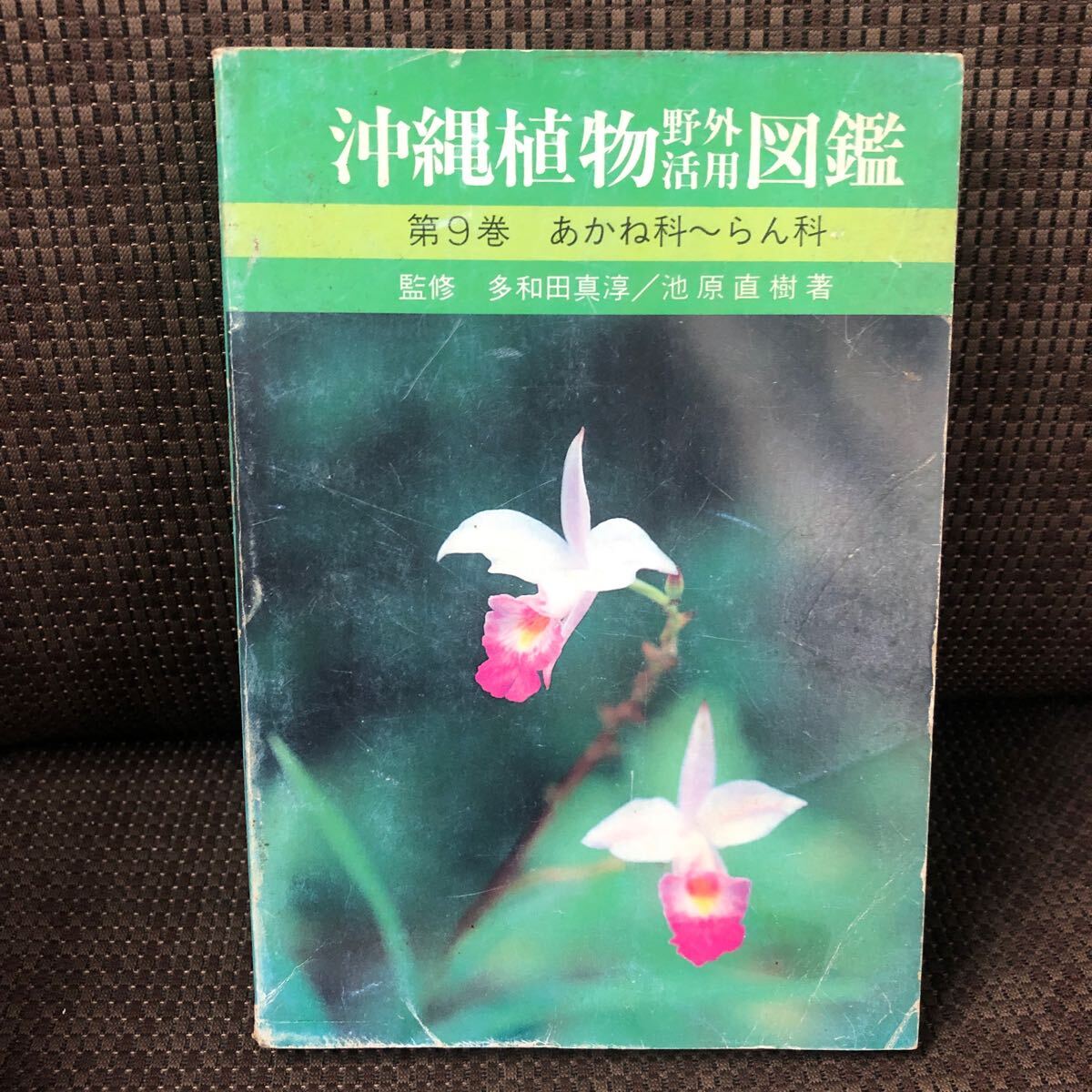 YK-5926 ※難あり 沖縄植物野外活用図鑑 第9巻 あかね科〜らん科《池原直樹》新星図書出版 琉球拍卖