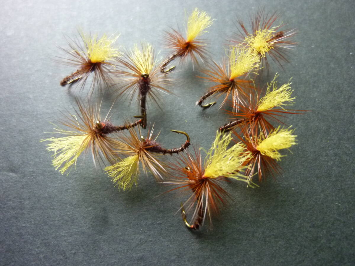 ☆クイルボディ・パラティルト(#14/#16)ブラウン10個拍卖