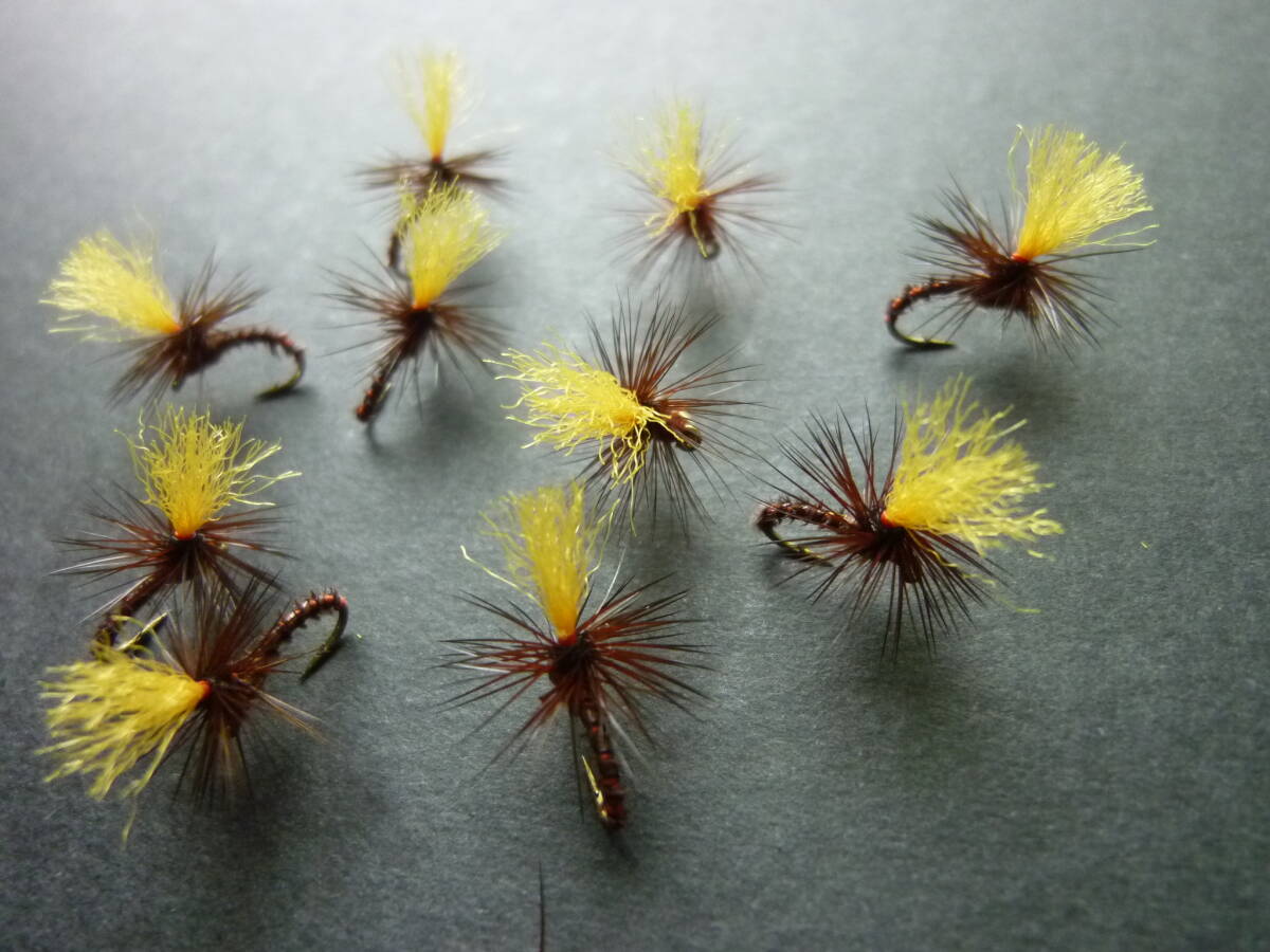 ☆クイルボディ・パラティルト(#18)ブラウン10個拍卖