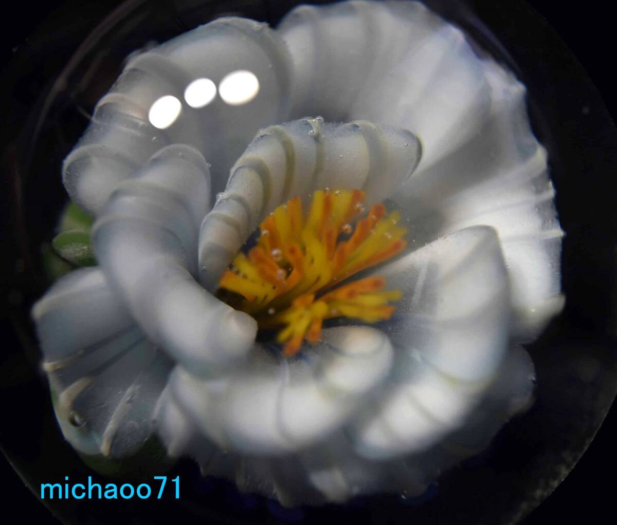 フラワー ガラスのペンダントトップ (12128-P21) GLASS FLOWER 透き通ったガラスの中に作咲く花 #ガラスアクセサリー #ハンドメイド 拍卖