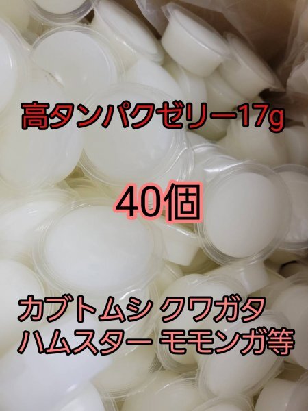高タンパクゼリー17g 40個 昆虫ゼリー オオクワ カブトムシ クワガタ 小動物 プロゼリー ドルクスゼリー モモンガ ハムスター拍卖