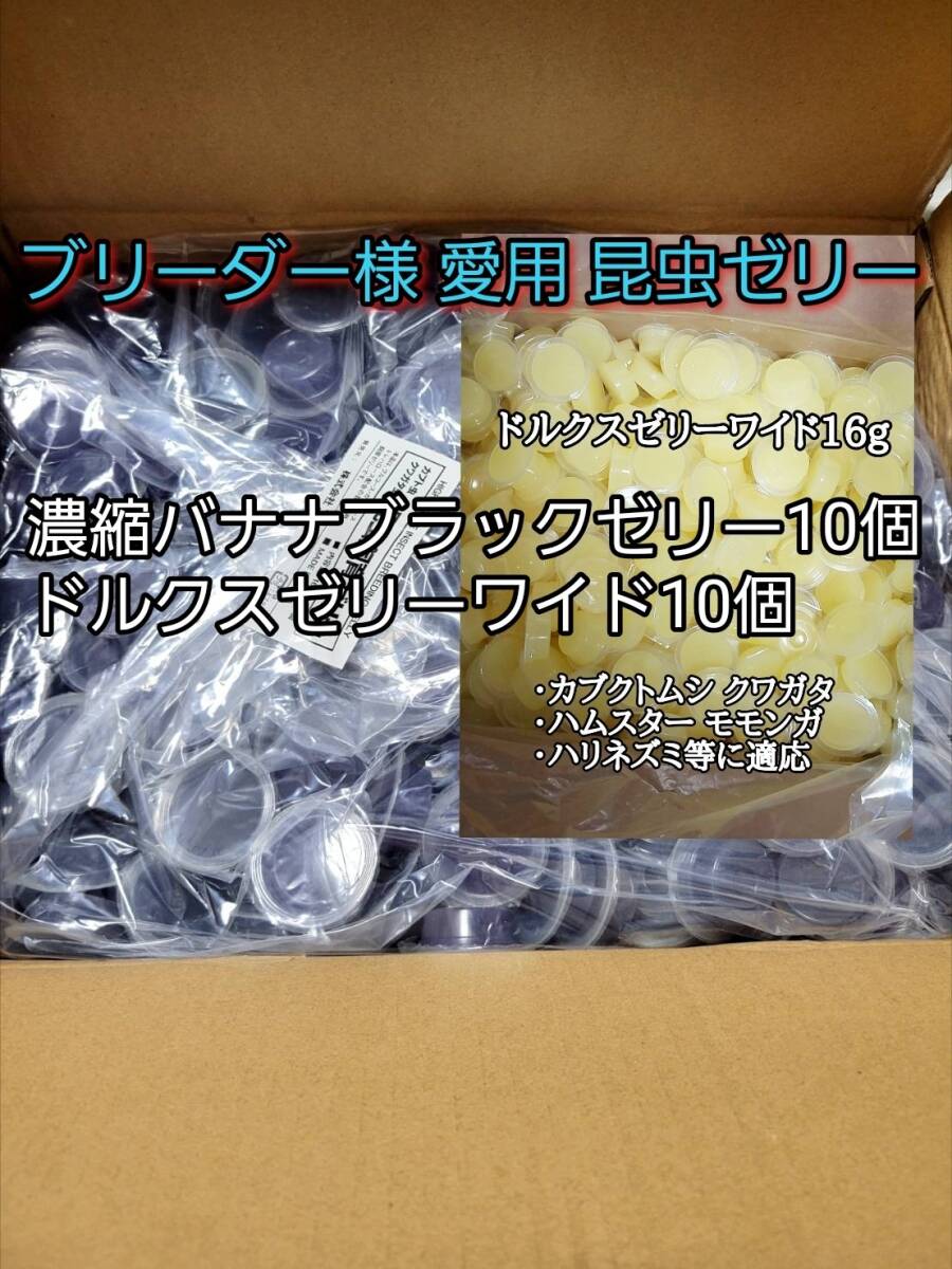 濃縮バナナブラックゼリーワイドS16g 10個 ドルクスゼリーワイドS10個 オオクワ カブトムシ 小動物 クワカブ 昆虫ゼリー フジコン拍卖