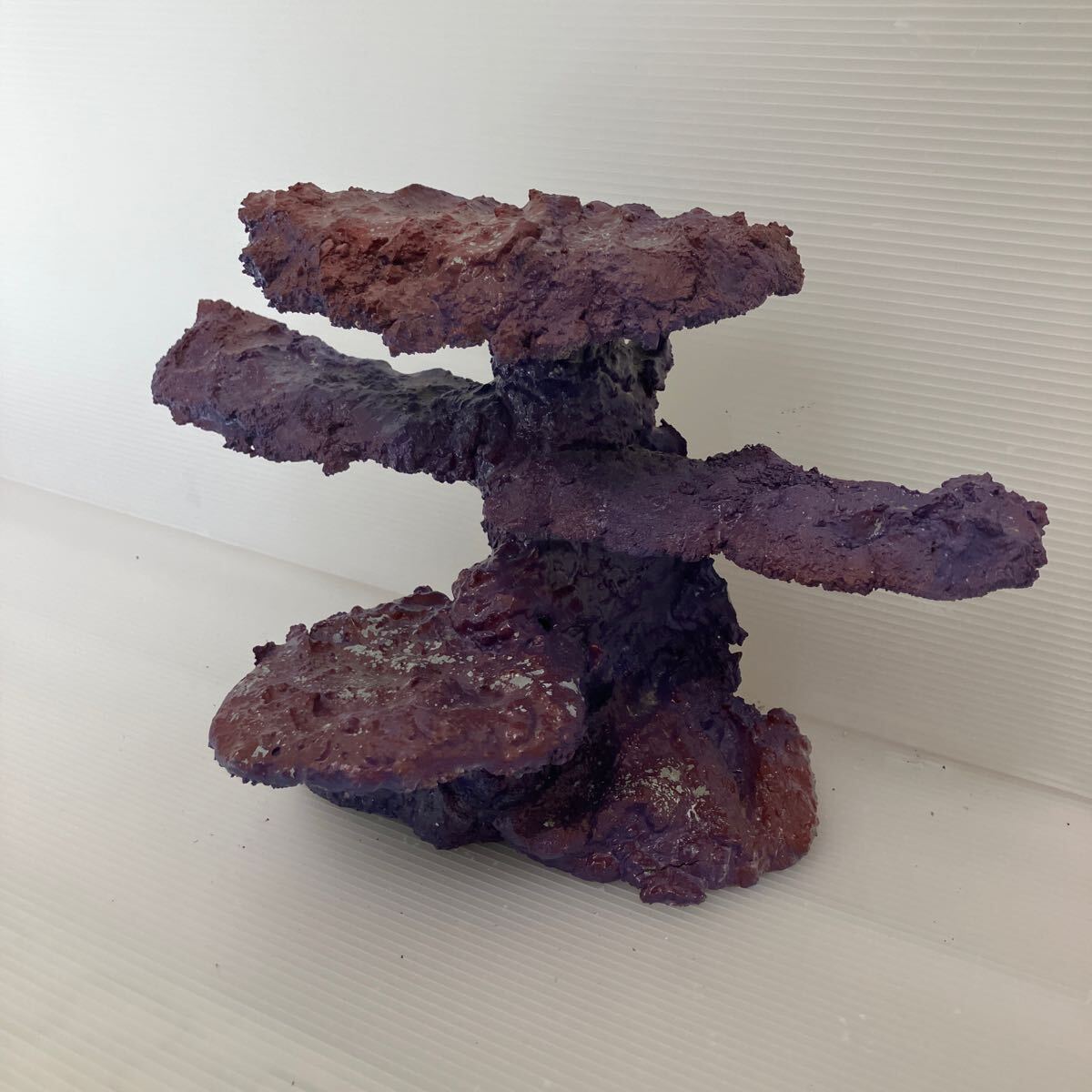 【現物】ライブロック No.25(海水魚、サンゴ、バクテリア、背景、レイアウト、水槽)拍卖