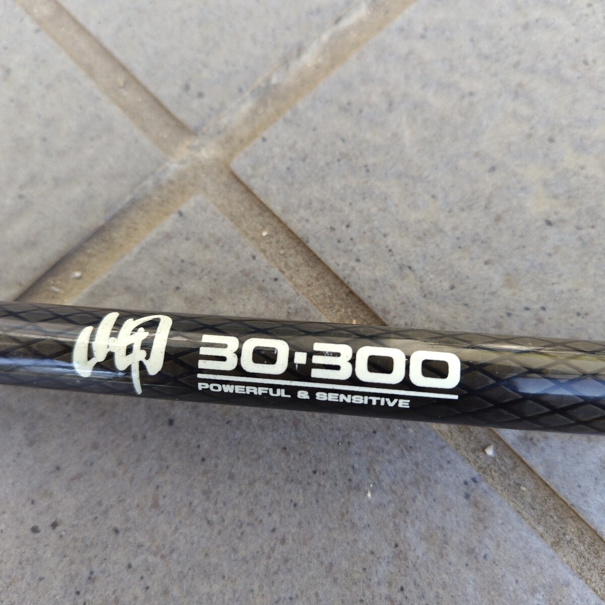 DAIWA船竿 POWER MESH   岬30−300 (中古)拍卖