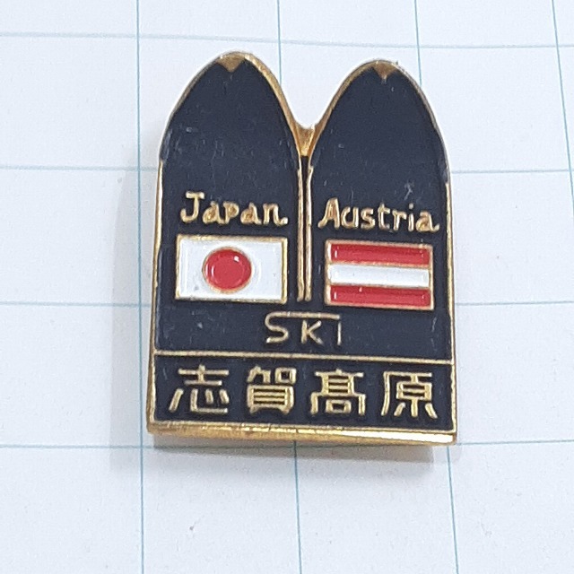 送料無料)志賀高原 スキー 登山 観光 旅行 記念 山バッジ ピンバッジ PINS ピンズ A28213拍卖