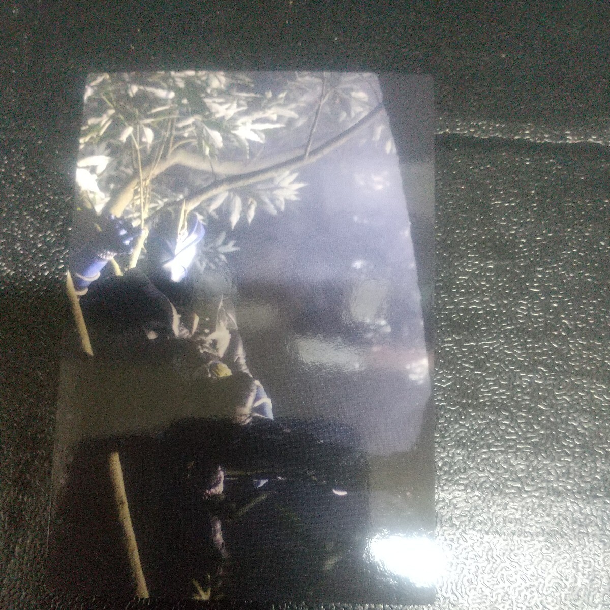 ★カルビー★仮面ライダーチップスR★第5記録★754仮面ライダー弾鬼★Calbee×MagazineZ★トレカ★拍卖