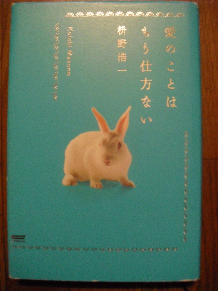 枡野浩一 愛のことはもう仕方ない 2016年初版 単行本 サイゾー拍卖