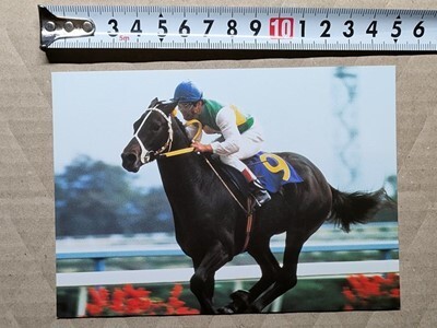 競馬 絵はがき 非売品ポストカード JRA ミスターシービー 吉永正人 菊花賞・昭和58年拍卖