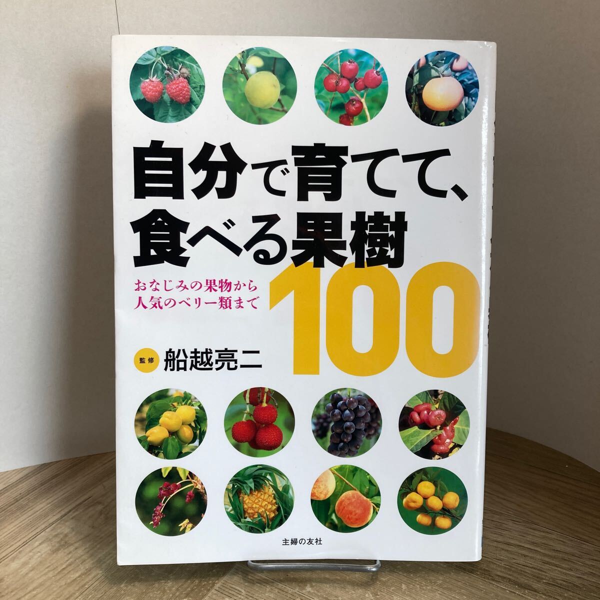 302e●自分で育てて、食べる果樹100 おなじみの果物から人気のベリー類まで 船越亮二 主婦の友社 平成29年 くだもの 栽培 家庭菜園拍卖