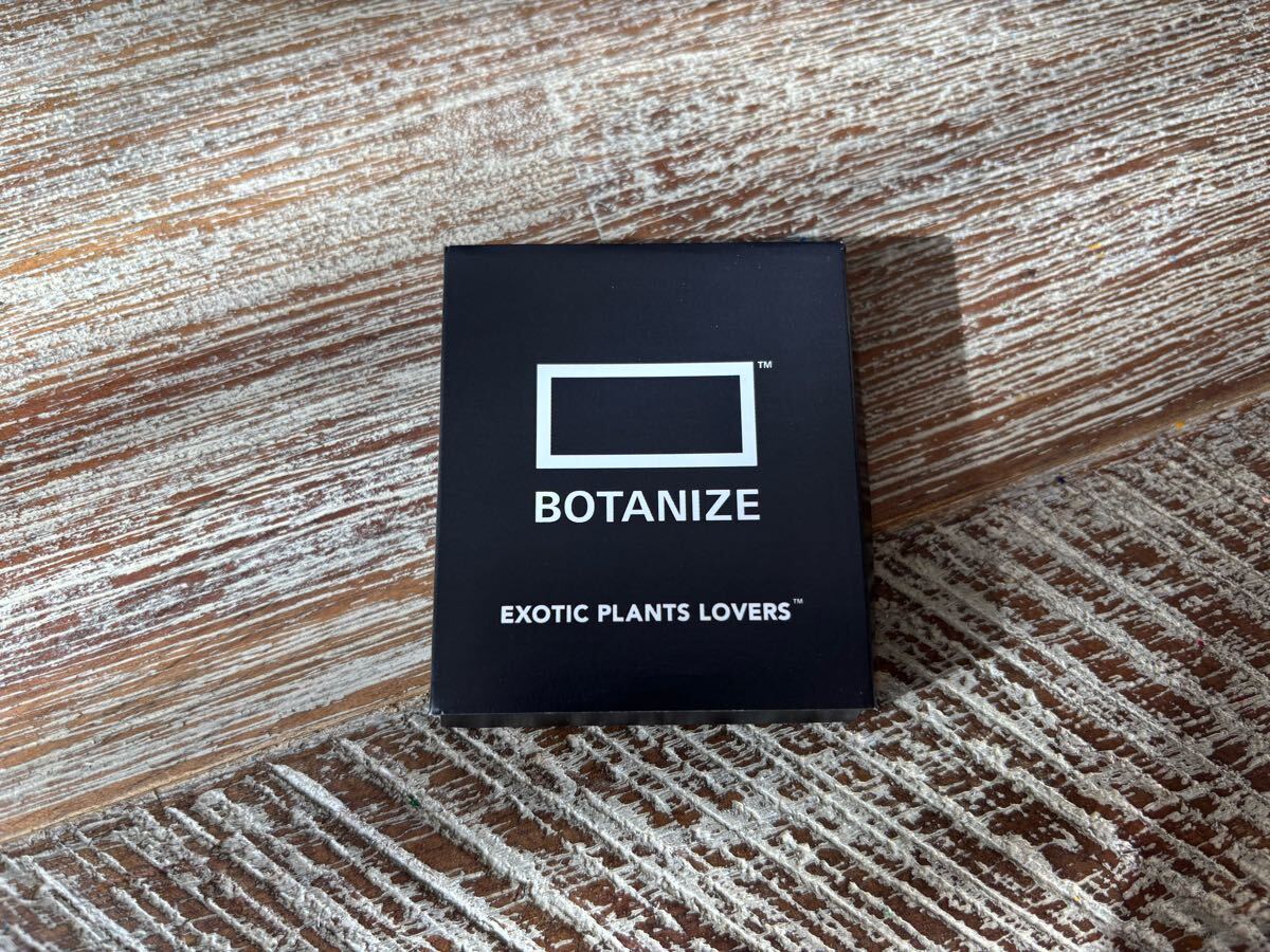 BOTANIZE CAUDEX MAGNET #9 パキポディウム グラキリス (ボタナイズ・マグネット)拍卖