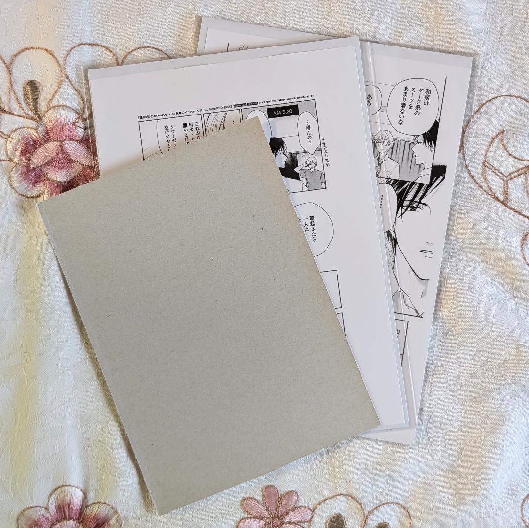 特典 ペーパー のみ 2枚 運命だけどあいいれない 1 2 永条エイ BL 漫画拍卖