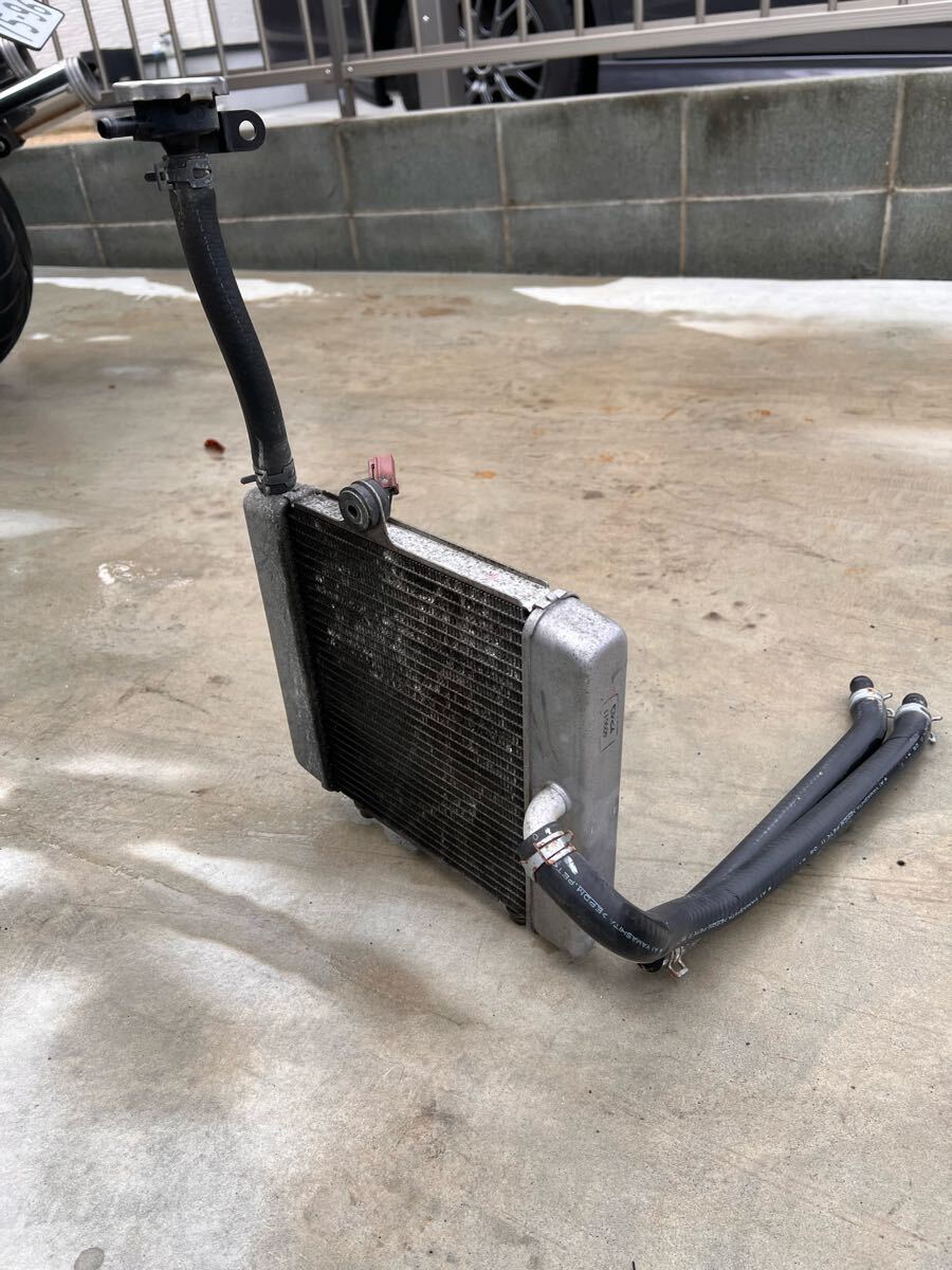 MF10 フォルツァZ ラジエター拍卖