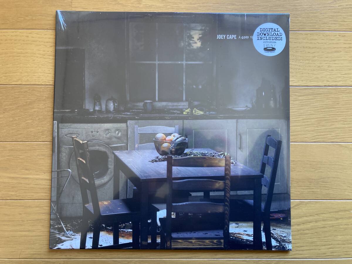 【未開封】 Joey Cape A Good Year To Forget LP lagwagon fat wreck chords拍卖