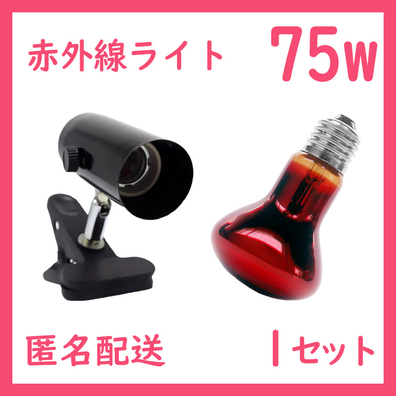 爬虫類ライト【75W赤外線ライト】ヒートグロー S0111拍卖